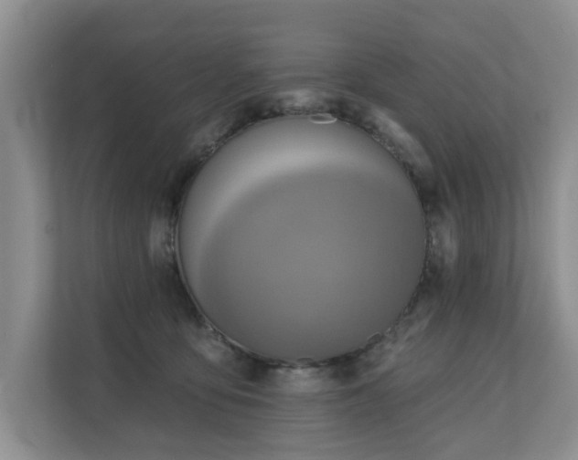 X0000110680419200906121210