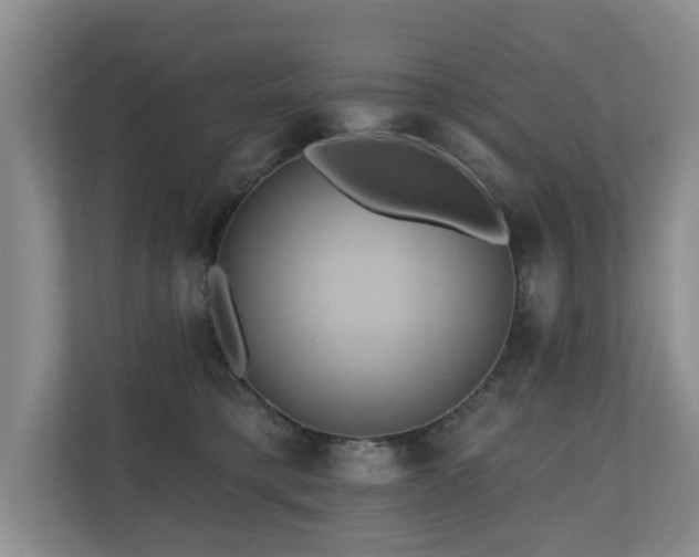 X0000110680421200906121210