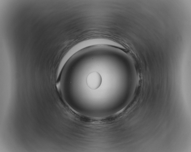 X0000110680423200906121210