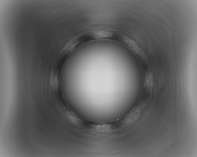 X0000110680426200906121210