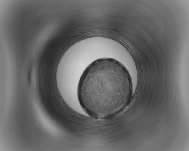 X0000110680429200906121210