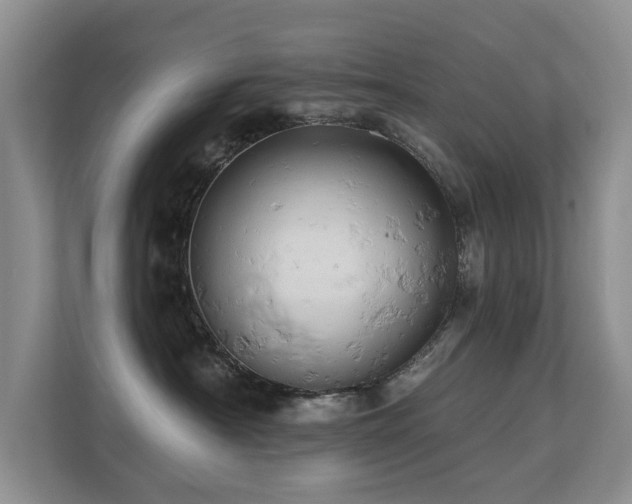 X0000110680430200906121210