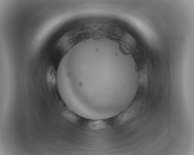X0000110680431200906121209