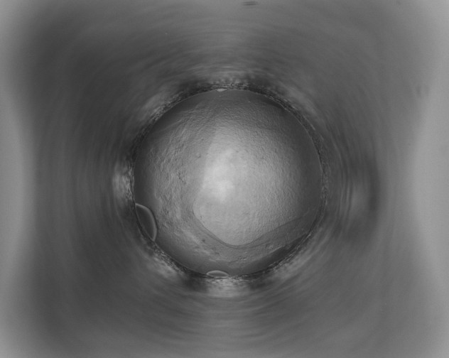 X0000110680432200906121209