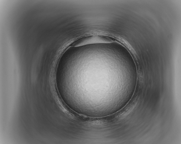 X0000110680433200906121209