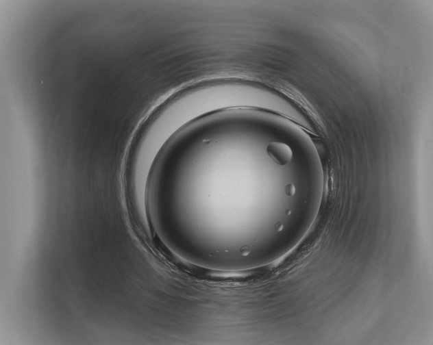 X0000110680436200906121209