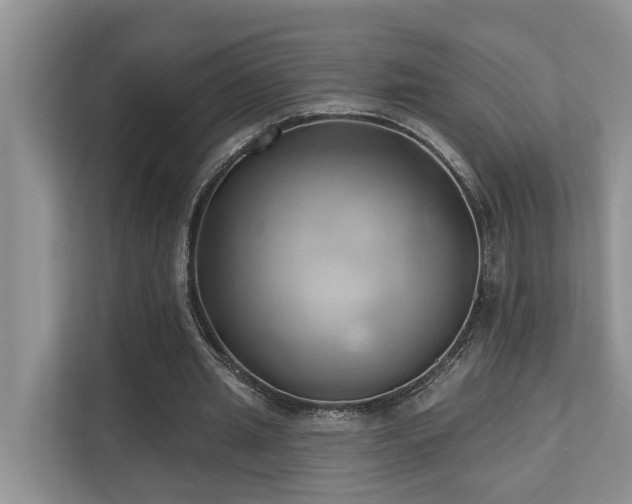 X0000110680437200906121209