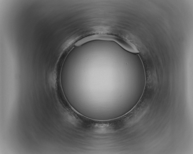X0000110680440200906121209