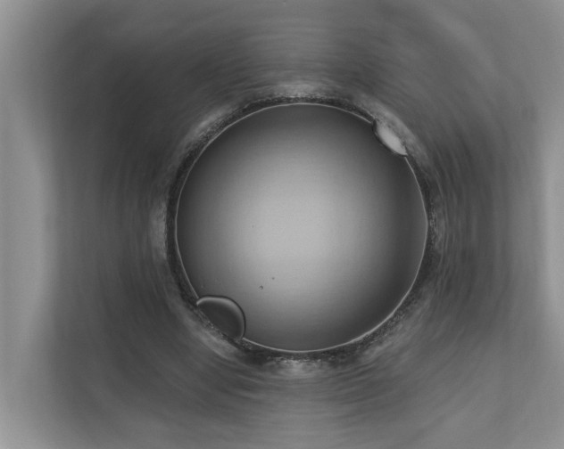 X0000110680442200906121209