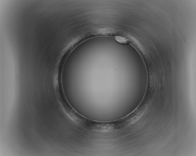 X0000110680443200906121209