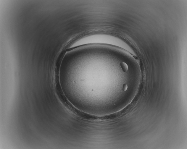 X0000110680444200906121209