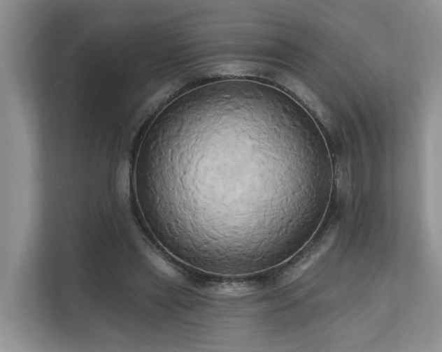 X0000110680445200906121209
