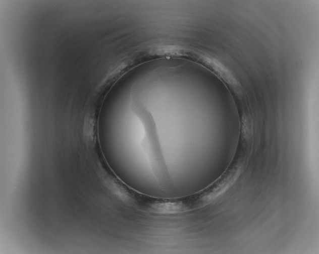 X0000110680449200906121209