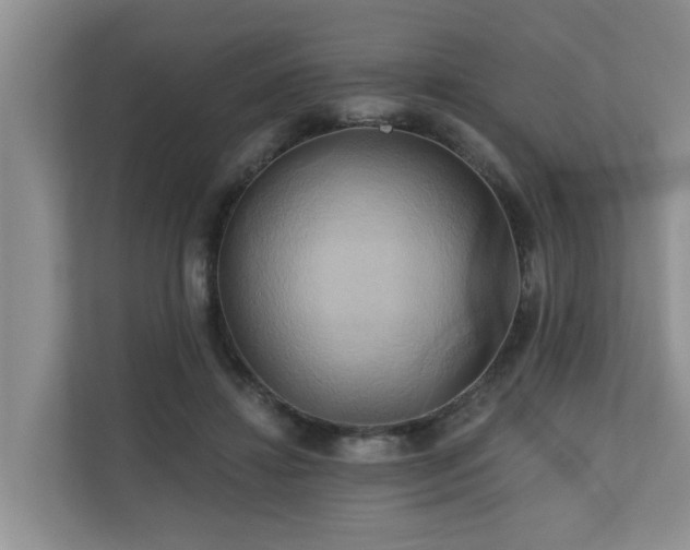X0000110680452200906121209