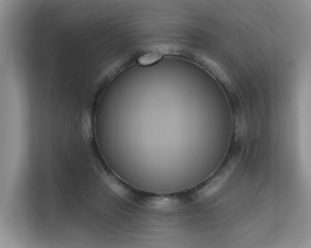 X0000110680453200906121209