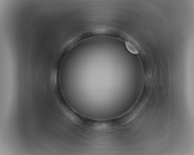 X0000110680454200906121209