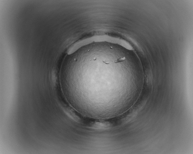 X0000110680455200906121209