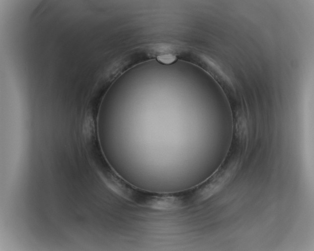 X0000110680459200906121209