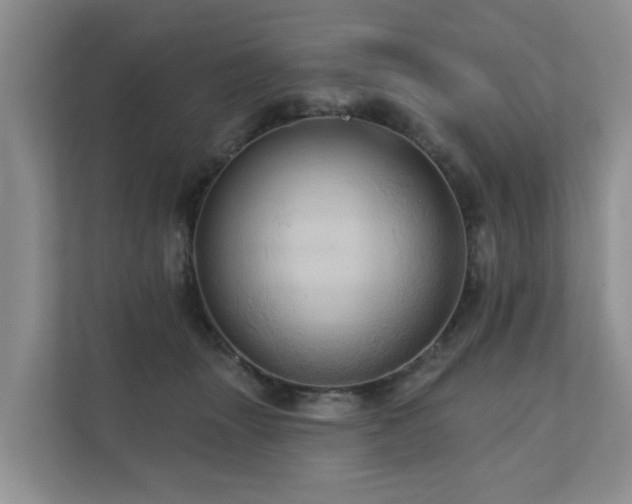 X0000110680463200906121209