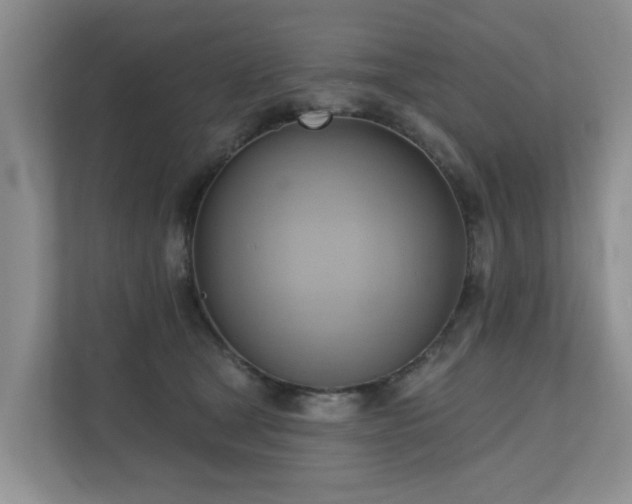 X0000110680465200906121209