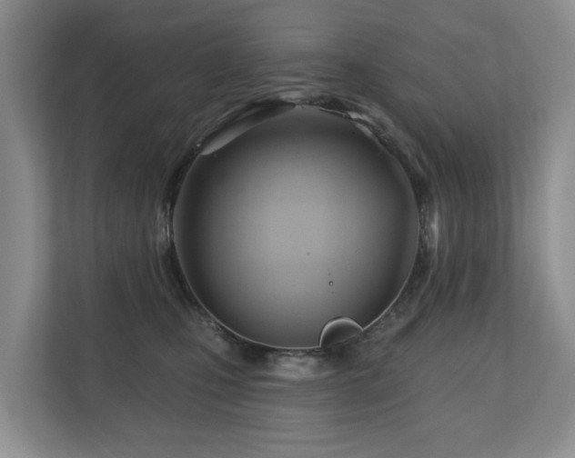X0000110680471200906121209