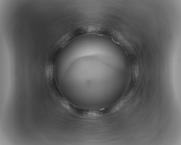 X0000110680475200906121209