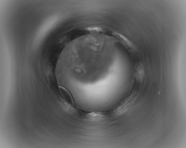 X0000110680477200906121209