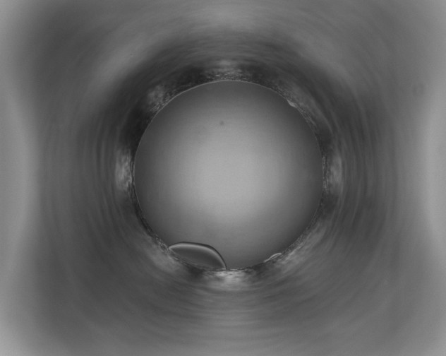 X0000110680478200906121209