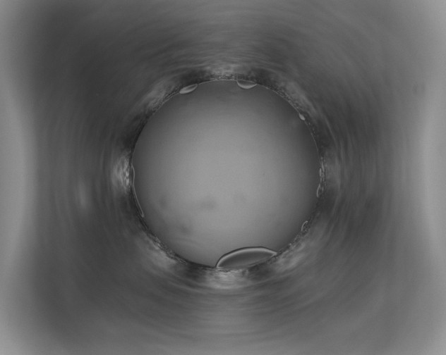 X0000110680479200906121209