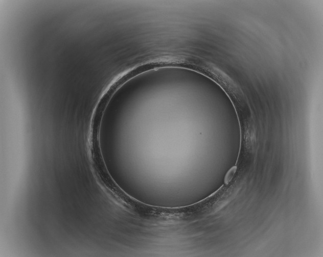 X0000110680484200906121209