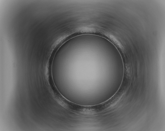 X0000110680487200906121209
