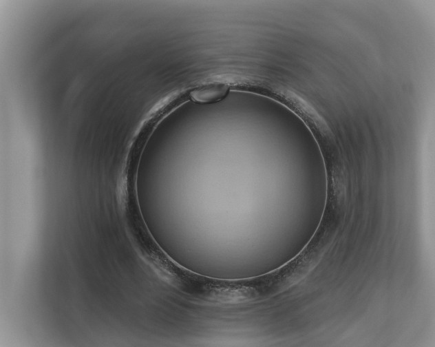 X0000110680488200906121209