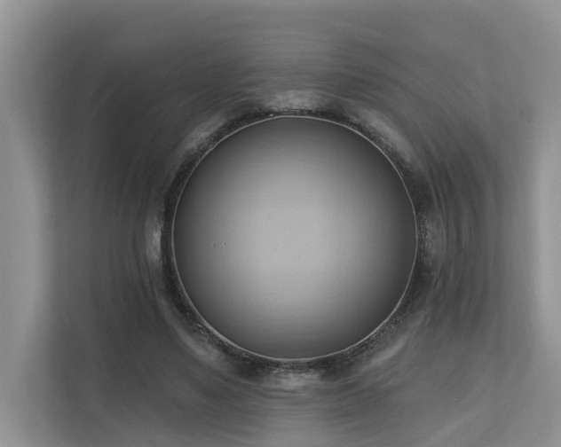 X0000110680491200906121209