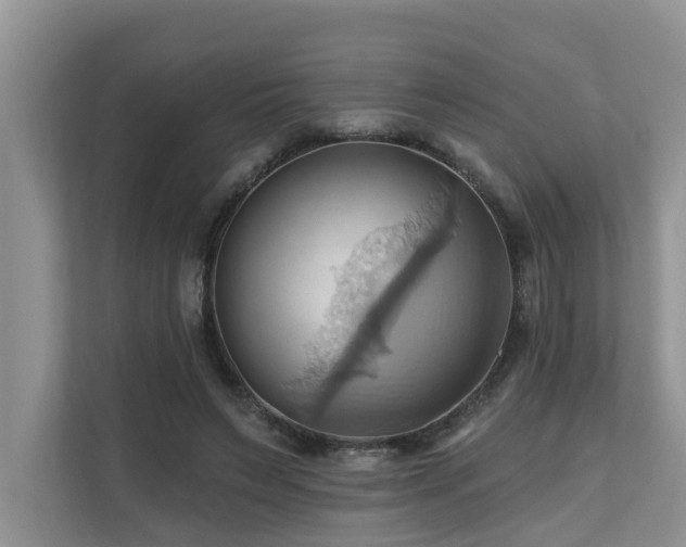 X0000110680495200906121209
