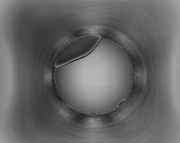 X0000110680500200906121209