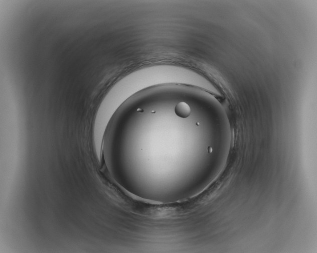 X0000110680501200906121209