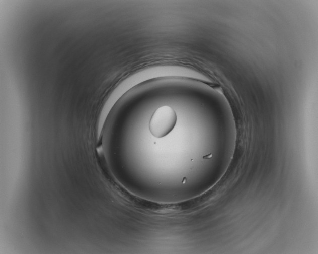 X0000110680505200906121209