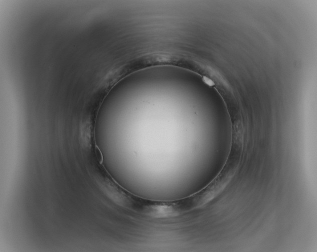 X0000110680509200906121208
