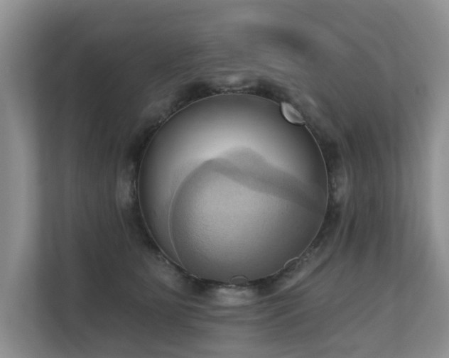 X0000110680515200906121208
