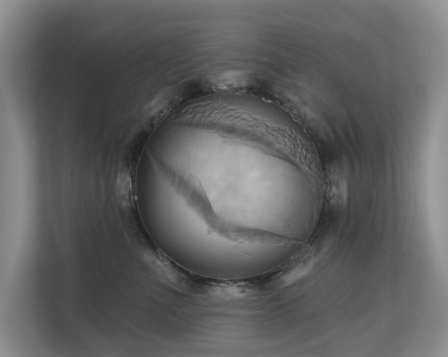 X0000110680523200906121208