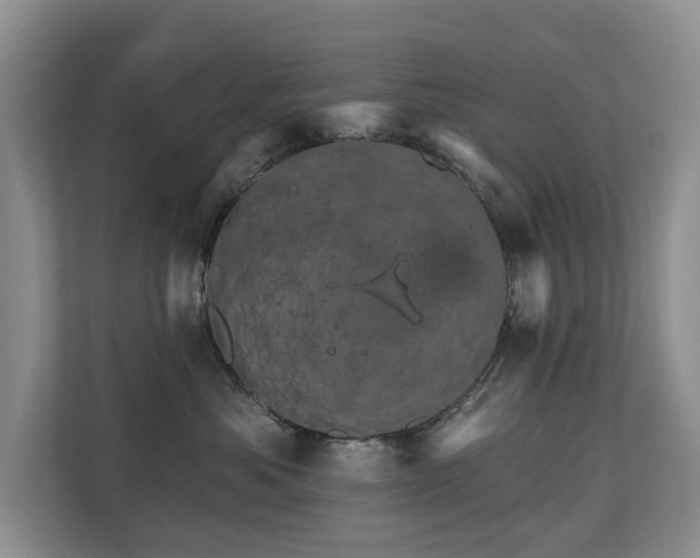 X0000110680525200906121208