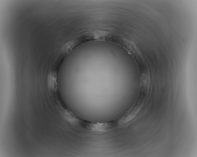 X0000110680527200906121208