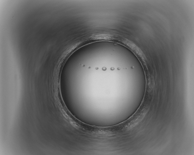 X0000110680529200906121208