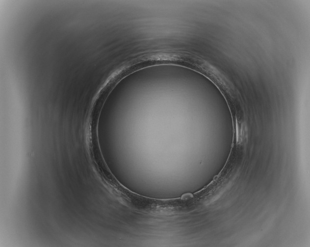 X0000110680531200906121208