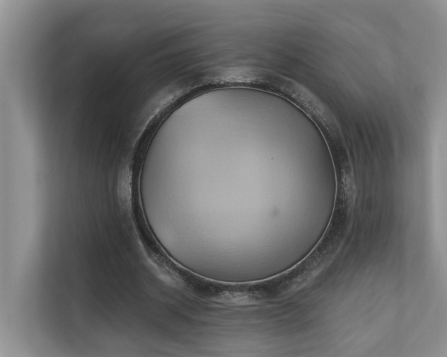 X0000110680534200906121208