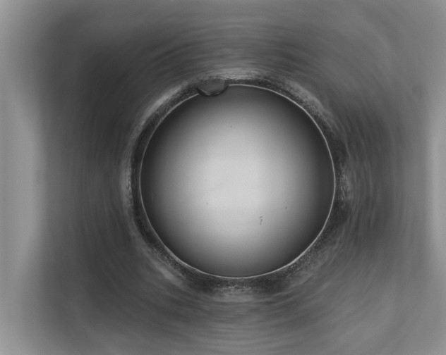 X0000110680535200906121208