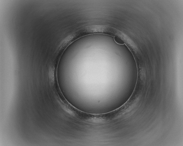 X0000110680537200906121208