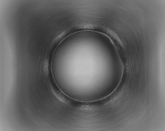 X0000110680538200906121208