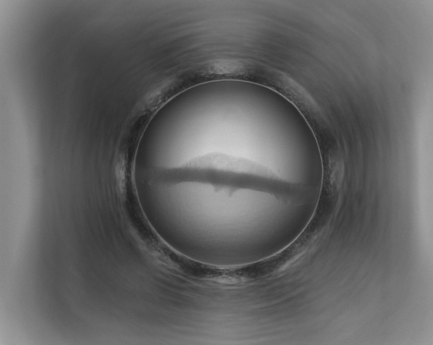 X0000110680542200906121208
