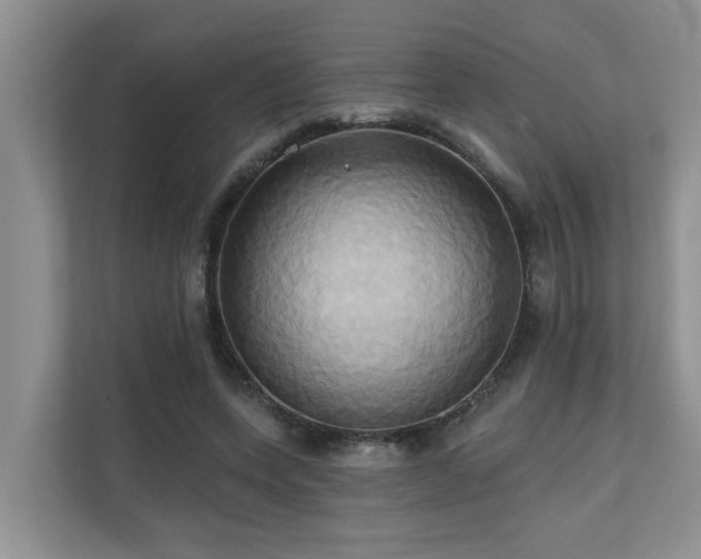 X0000110680543200906121208